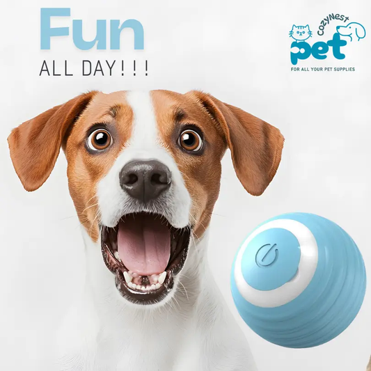 Smart Interactive cat toys and Small Dog Toys Hypersku