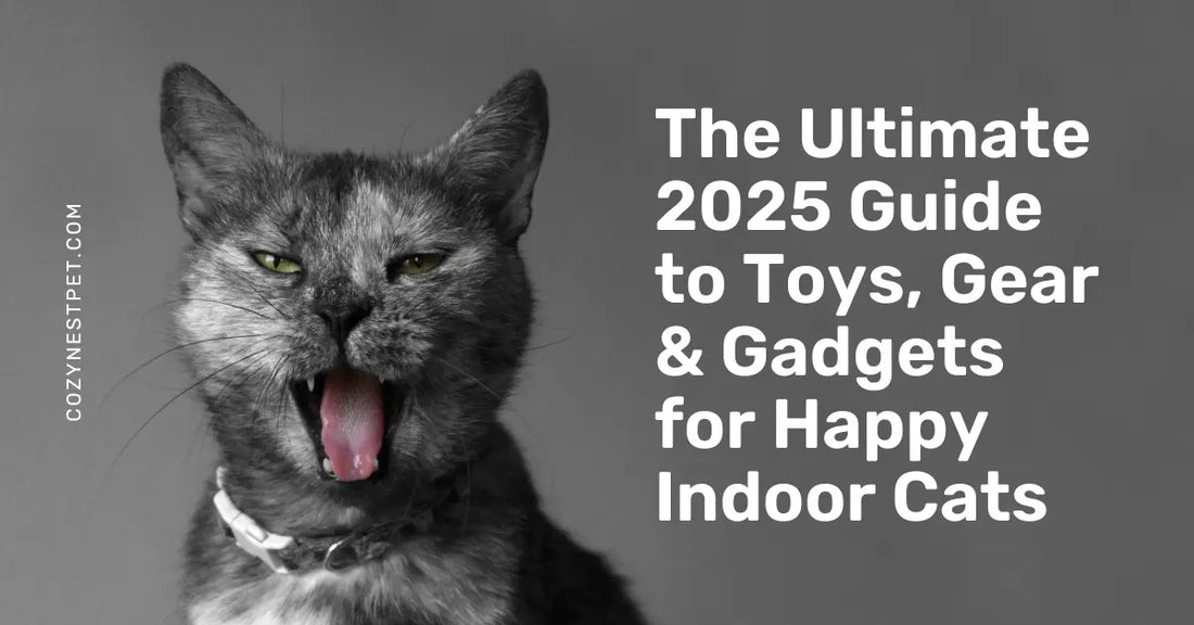 Best Cat Accessories 2025: Toys, Gadgets, Scratching & Feeding Essentials - Cozynest Pet