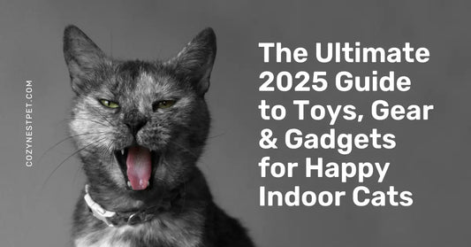 Best Cat Accessories 2025: Toys, Gadgets, Scratching & Feeding Essentials - Cozynest Pet