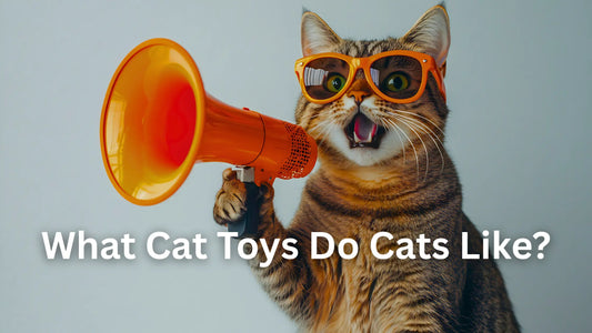 What-Cat-Toys-Do-Cats-Like-10-Toys-Your-Feline-Friend-Will-Love Cozynest Pet