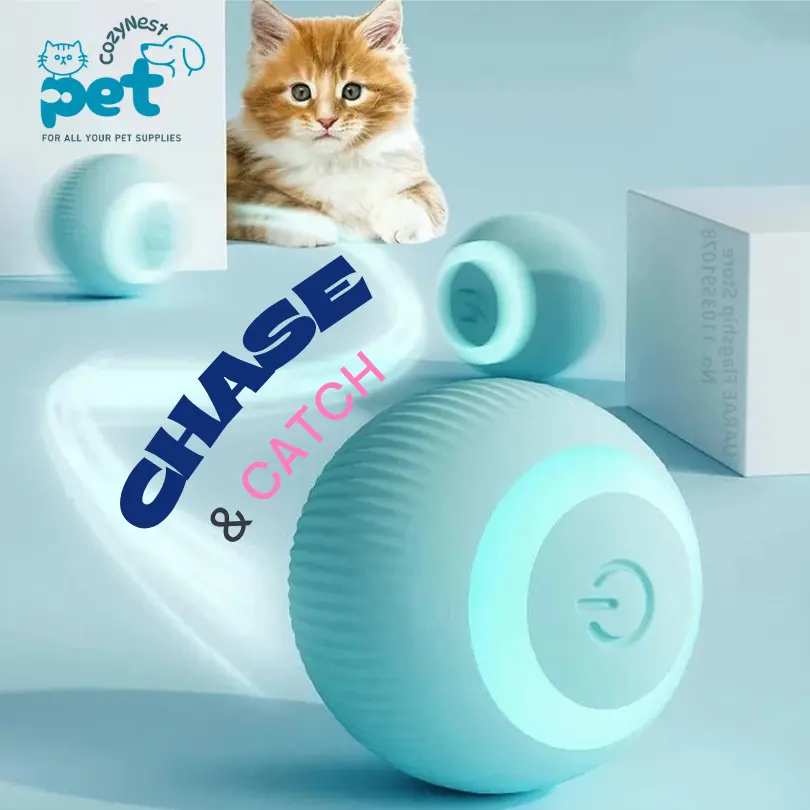 Smart Interactive cat toys and Small Dog Toys Hypersku