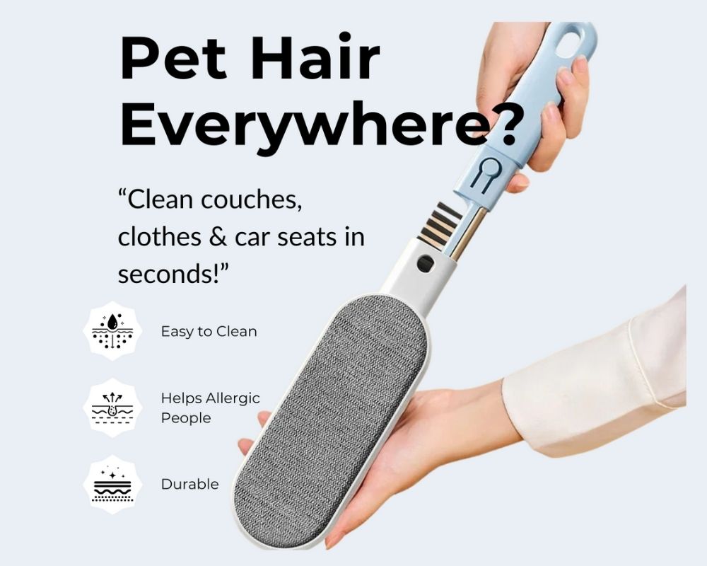 Pet Hair Remover Brush Hold in hand