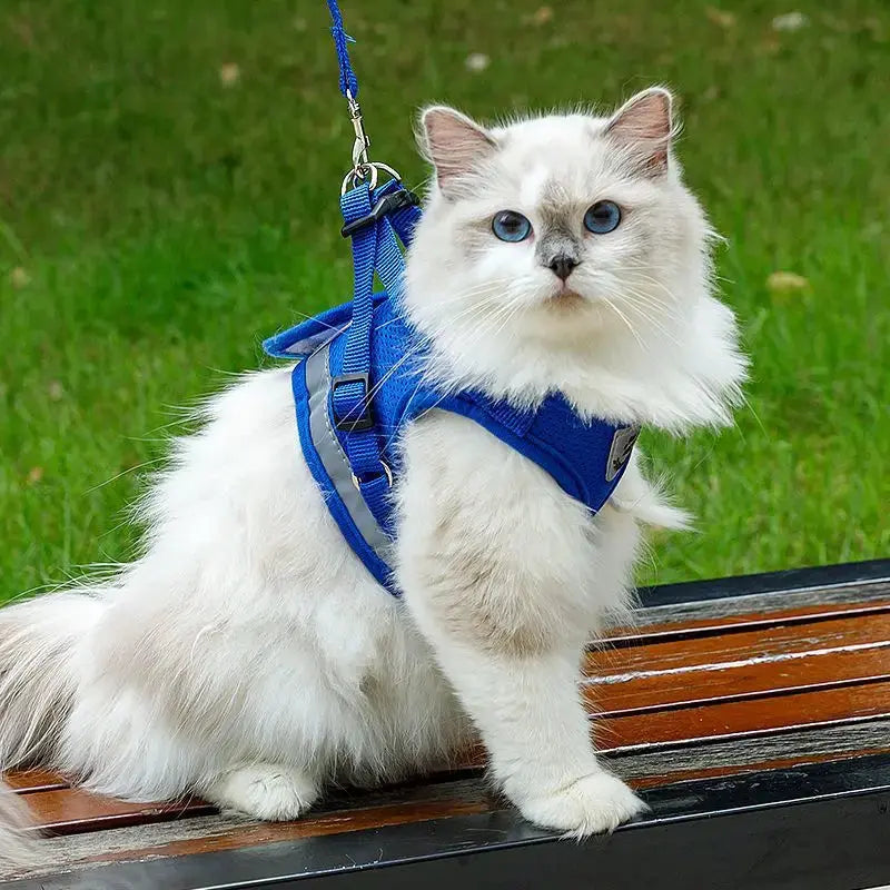 No Pull Breathable Mesh Dog & Cat Harness with Leash – Reflective & Adjustable Cozynest Pet