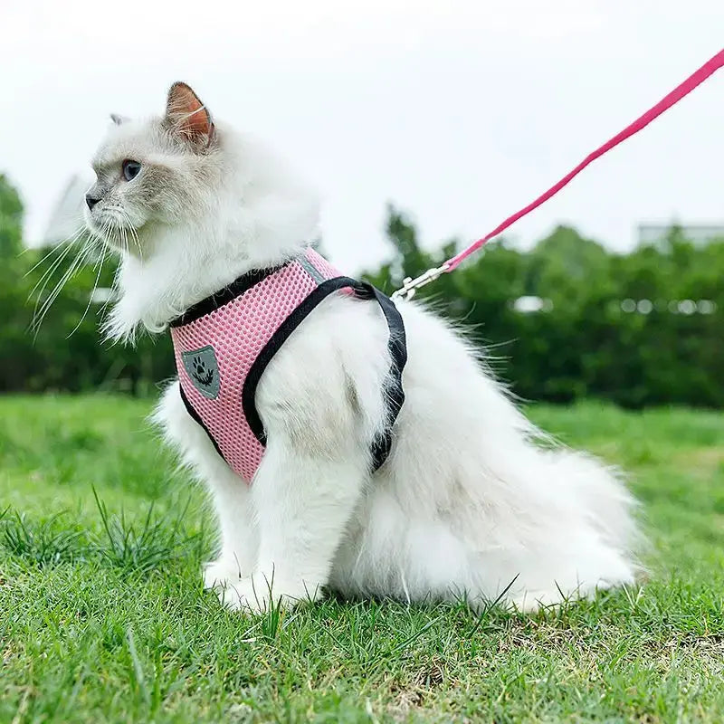 No Pull Breathable Mesh Dog & Cat Harness with Leash – Reflective & Adjustable Cozynest Pet