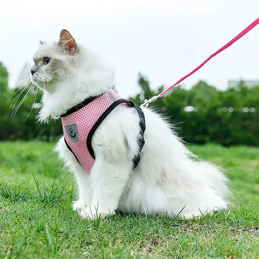 No Pull Breathable Mesh Dog & Cat Harness with Leash – Reflective & Adjustable Cozynest Pet