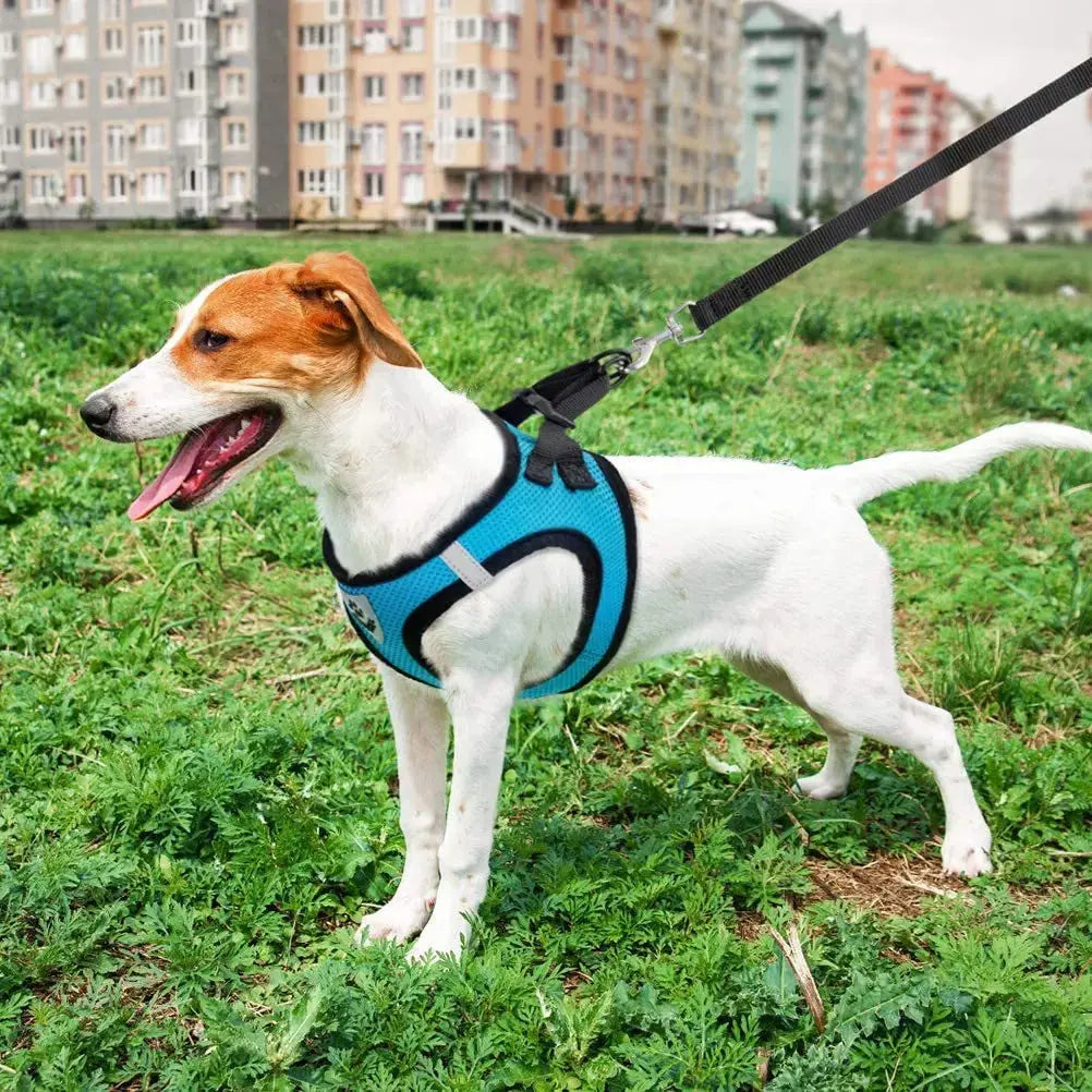 No Pull Breathable Mesh Dog & Cat Harness with Leash – Reflective & Adjustable Cozynest Pet