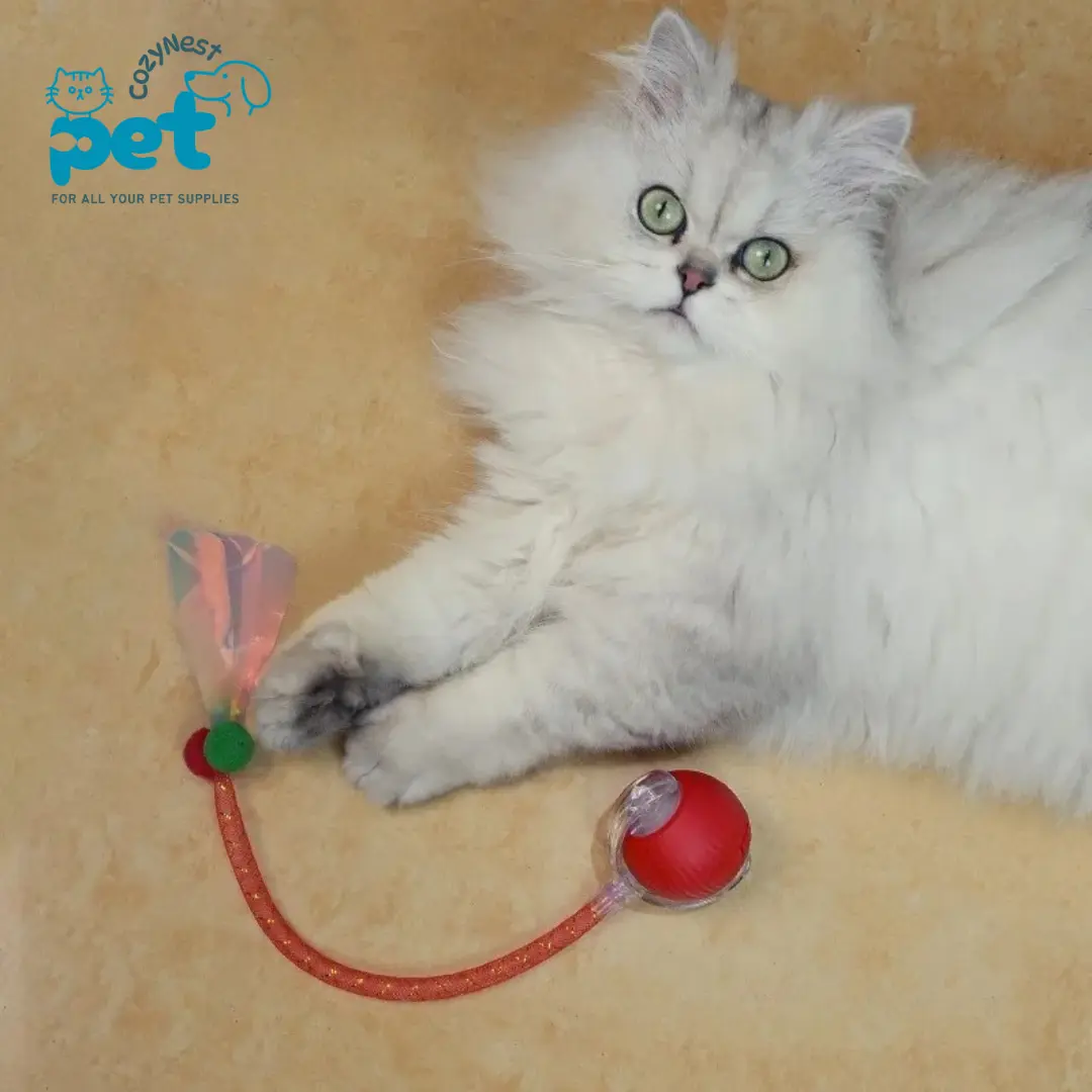 Interactive Cat Toys Ball for Indoor Cats Hypersku