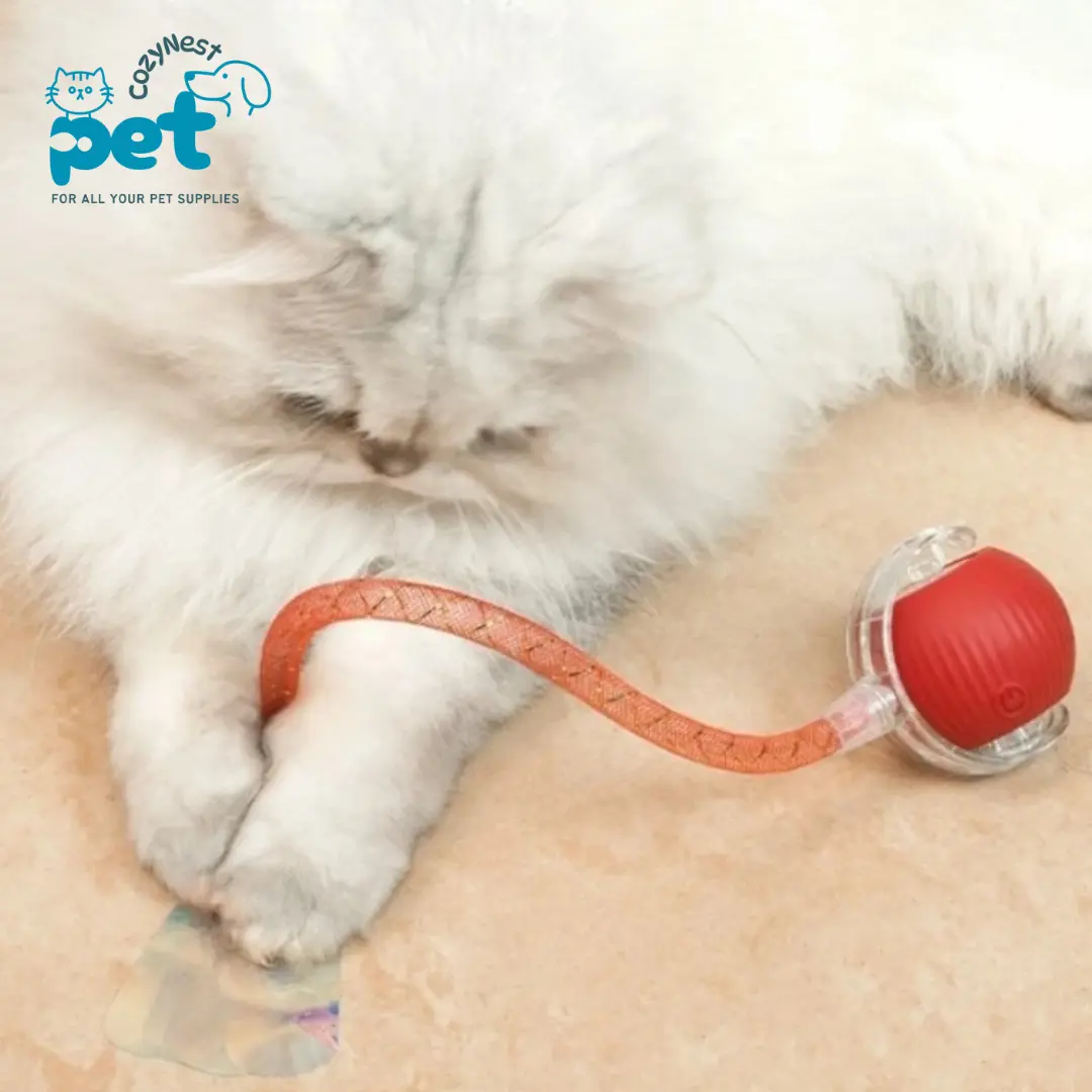 Interactive Cat Toys Ball for Indoor Cats Hypersku