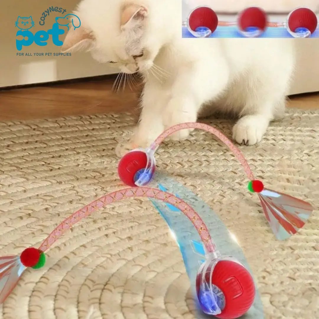 Interactive Cat Toys Ball for Indoor Cats Hypersku